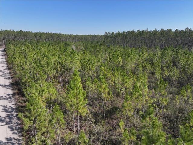 Land for sale in Odum, Georgia