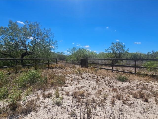 Commercial Land for sale in Benavides