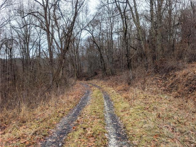 Land for sale in Lewisville, Ohio