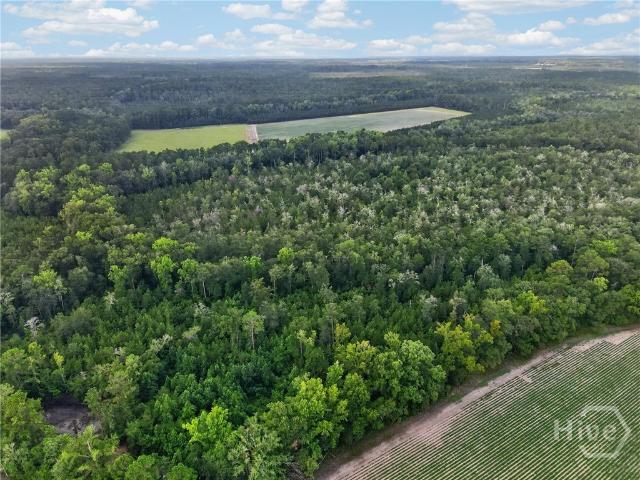 Land for sale in Lorenzo, Springfield