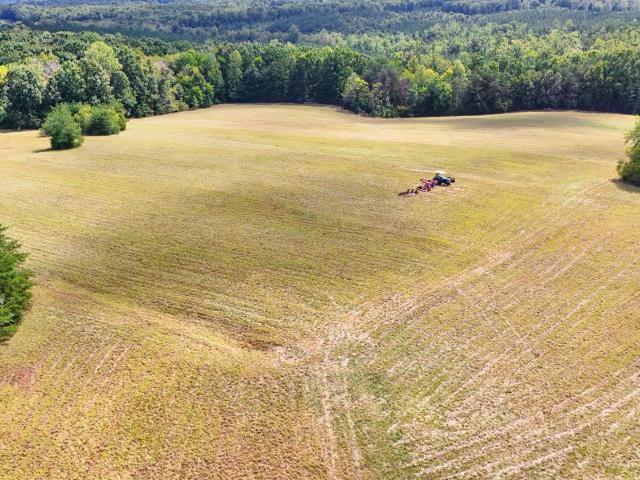 Land for sale in Gladys, Campbell County