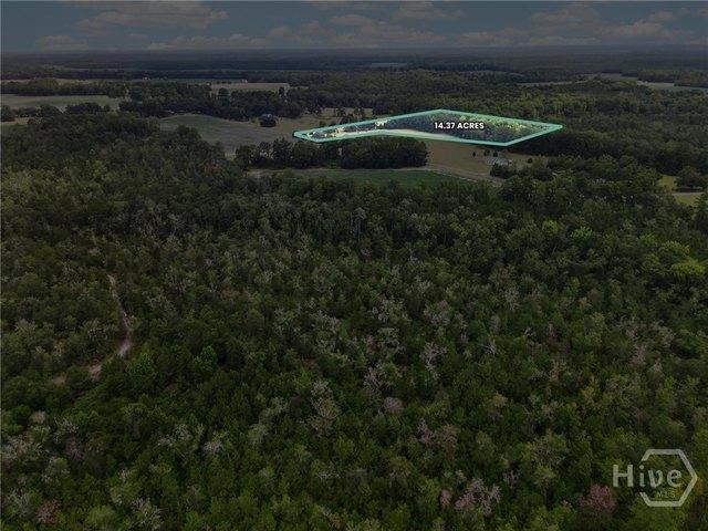 Land for sale in Springfield, Georgia