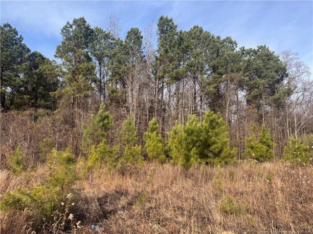 Land for sale in Sanford, North Carolina