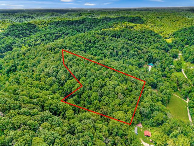 Land for sale in Whites Creek Land for sale in Whites Creek