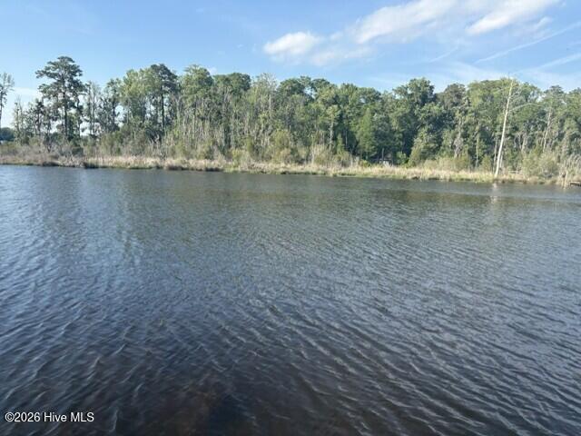 Land for sale in Bath, North Carolina