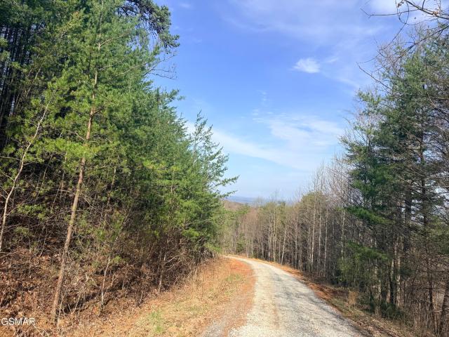 Land for sale in Tennessee