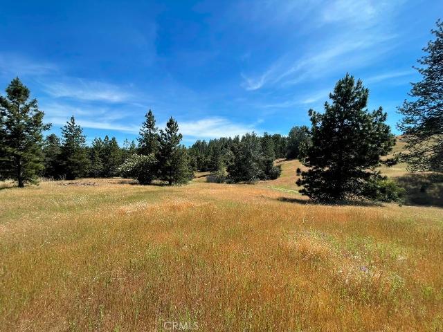 Land for sale in Mariposa, California