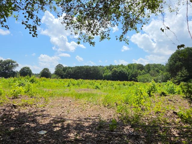 Land for sale in Tyrone, Georgia