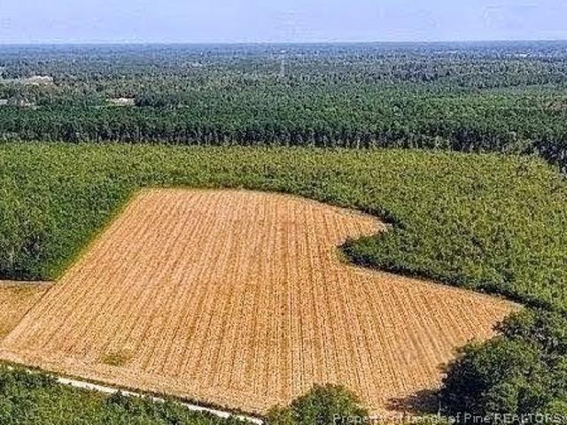 Land for sale in Autryville, North Carolina