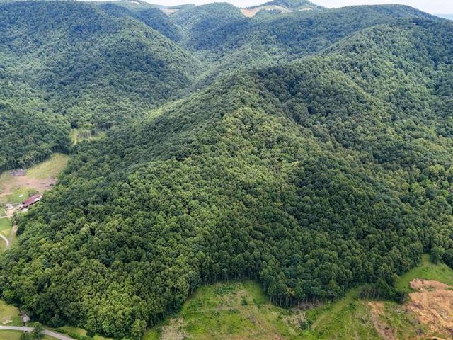 Land for sale in Virginia