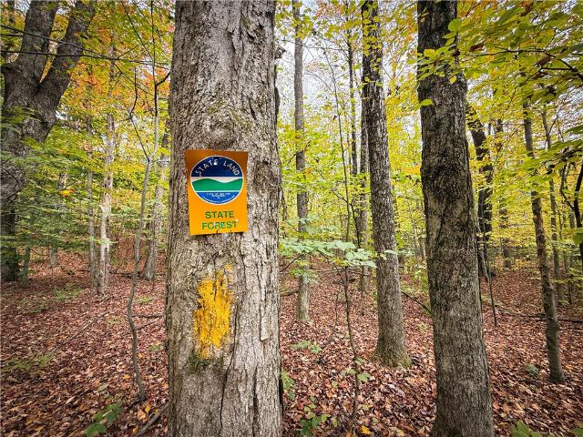 Land for sale in Mannsville, New York