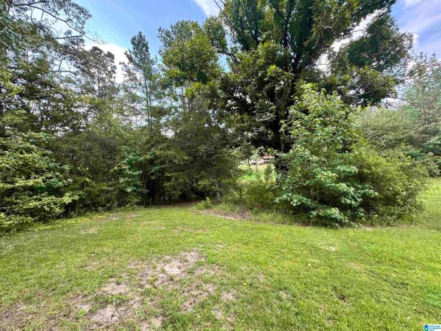 Land for sale in West Blocton, Alabama