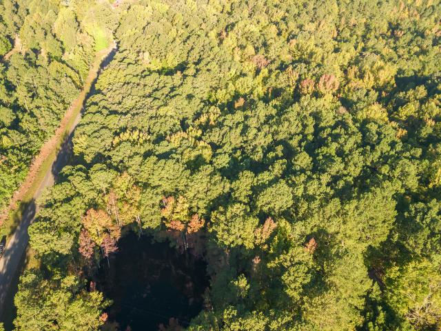 Land for sale in Chatham, North Carolina