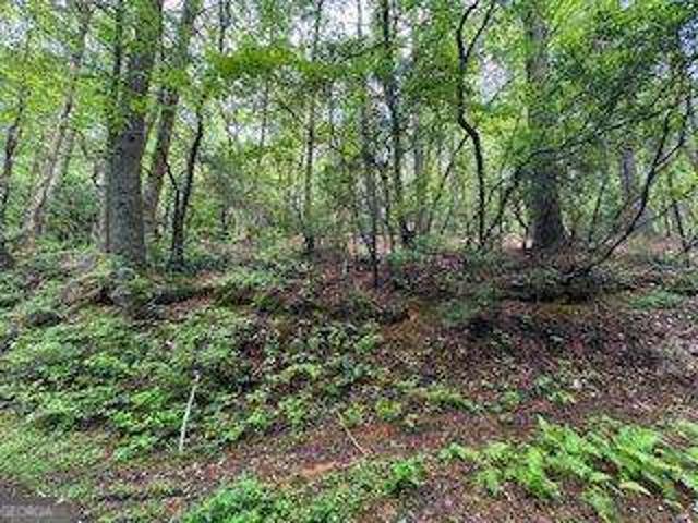 Land for sale in Dahlonega, Georgia