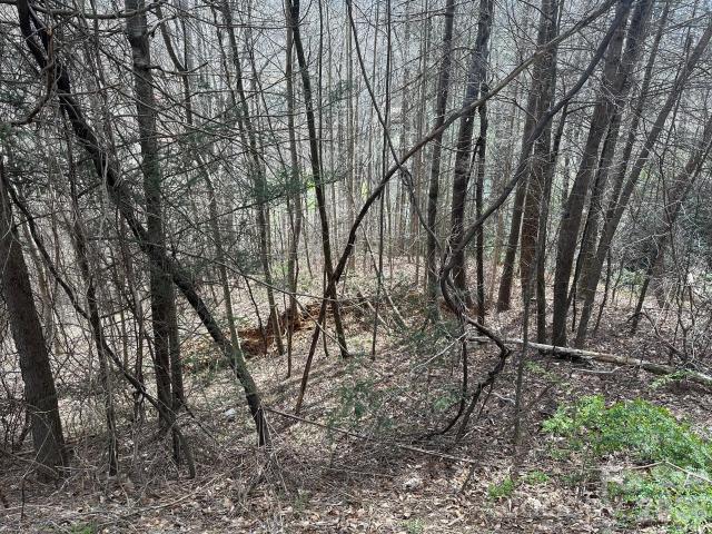 Land for sale in Edneyville, Hendersonville