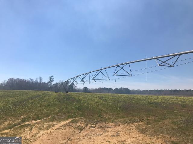 Land for sale in Wrightsville, Georgia