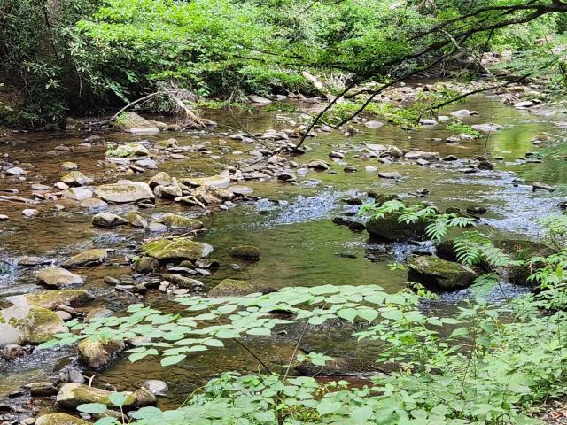 Land for sale in Tennessee