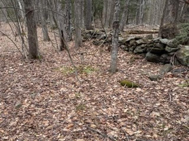 Land for sale in Rowe, Massachusetts