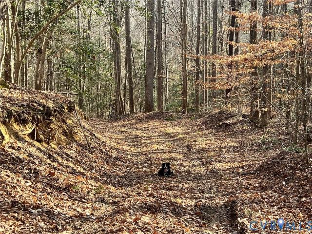 Land for sale in Virginia