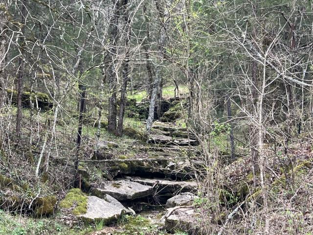 Land for sale in Tennessee