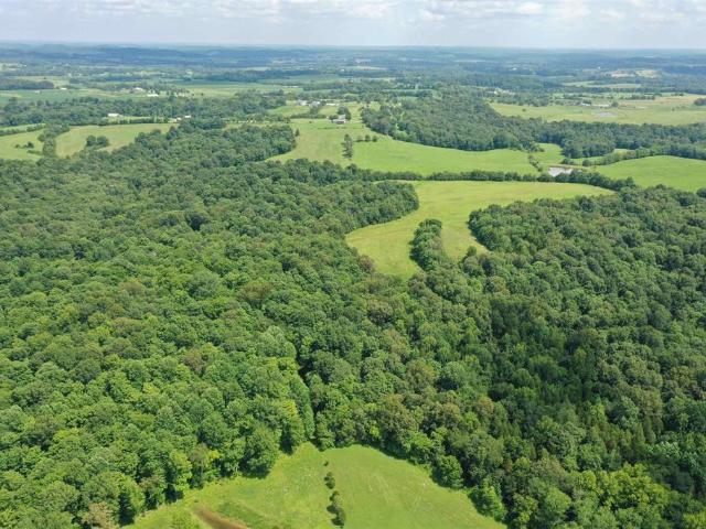 Farm for sale in Crittenden, Kentucky