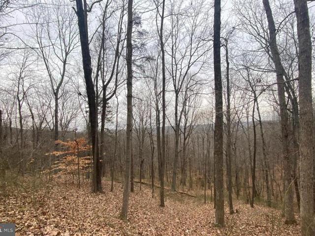 Land for sale in Rappahannock County, Virginia