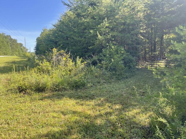 Land for sale in Tennessee