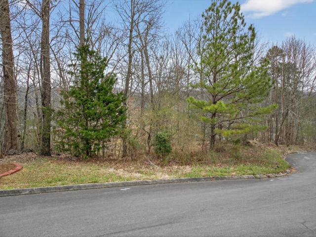 Land for sale in Dalton, Georgia