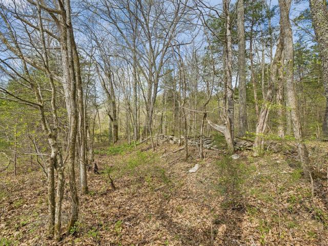 Land for sale in Tennessee