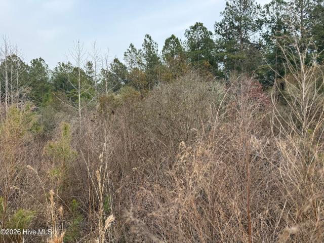 Land for sale in Aurora, North Carolina