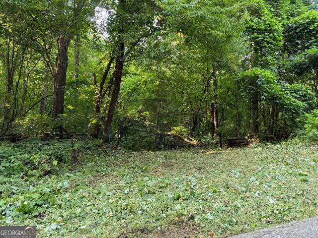 Land for sale in Clayton, Georgia