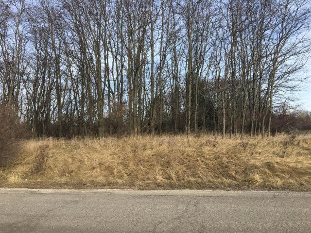 Land for sale in Manistee, Michigan
