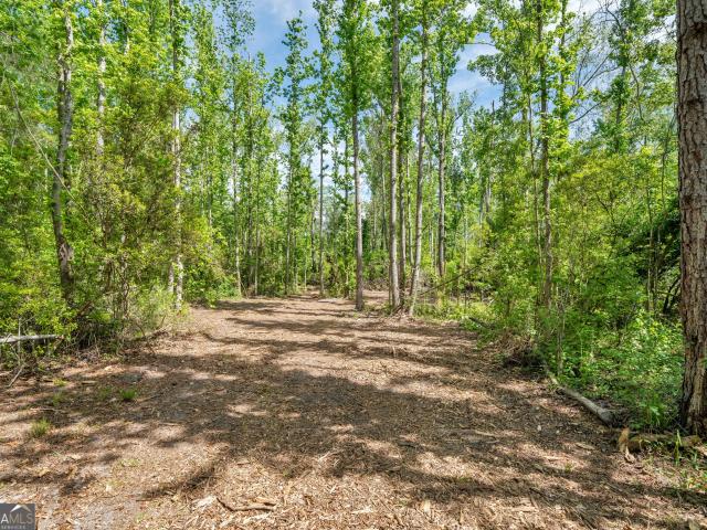 Land for sale in Ray City, Georgia