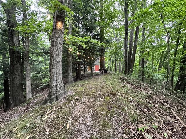 Land for sale in Bridgman, Berrien County