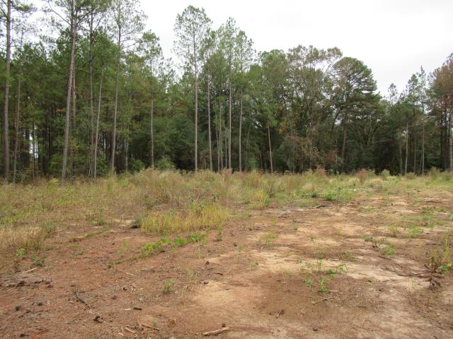 Land for sale in Keysville, Georgia