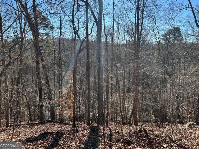 Land for sale in Demorest, Georgia