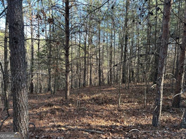 Land for sale in Demorest, Georgia