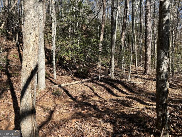 Land for sale in Demorest, Georgia
