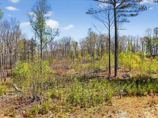Land for sale in Gilmer, Georgia