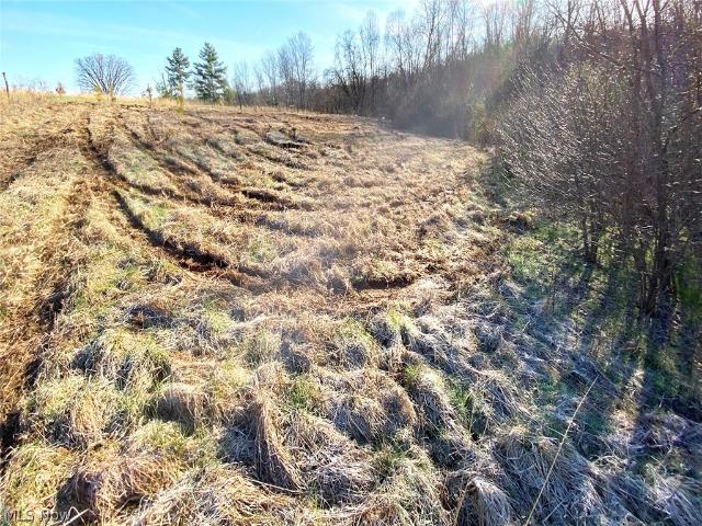 Land for sale in Noble, Ohio