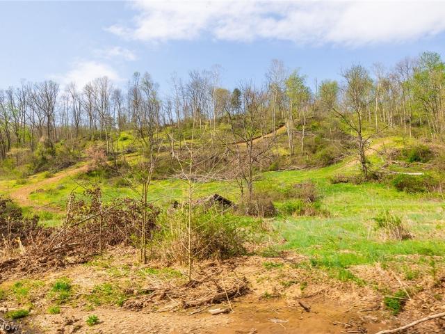 Land for sale in Whipple, Ohio