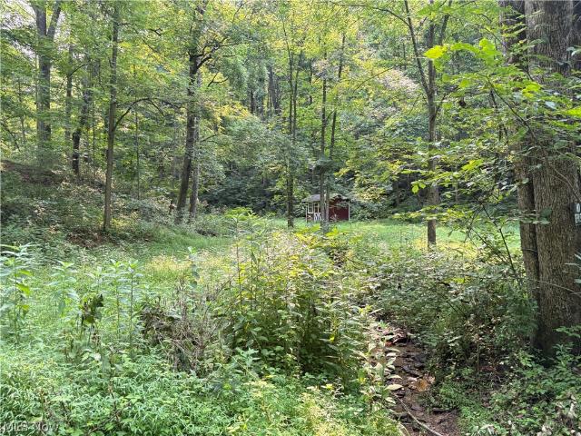 Land for sale in Clarington, Ohio