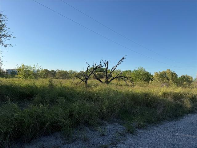 Land for sale in Dodd Colonia, Sinton