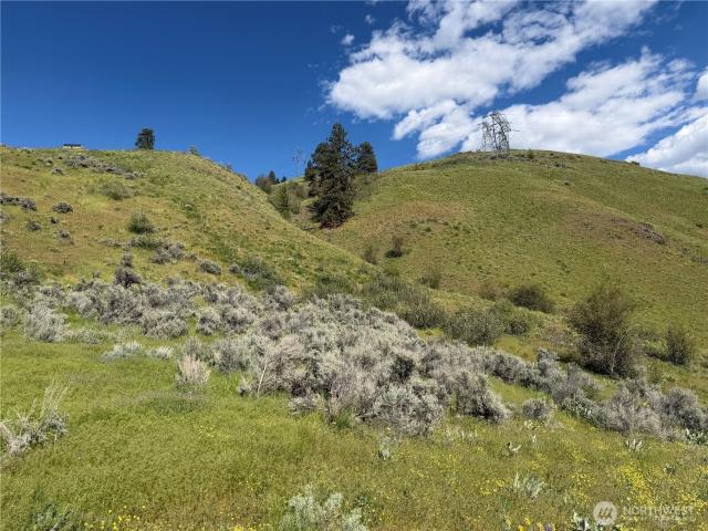 Land for sale in Waterville, Washington