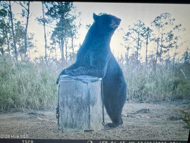 Land for sale in North Carolina