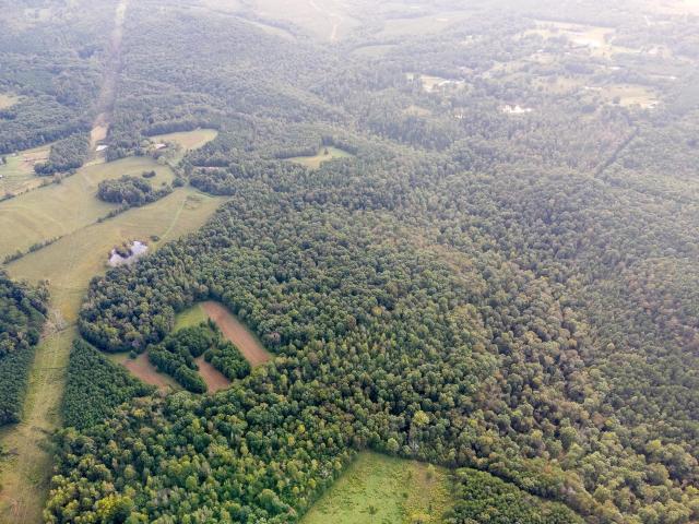 Land for sale in Crooked Oak, Tuscumbia