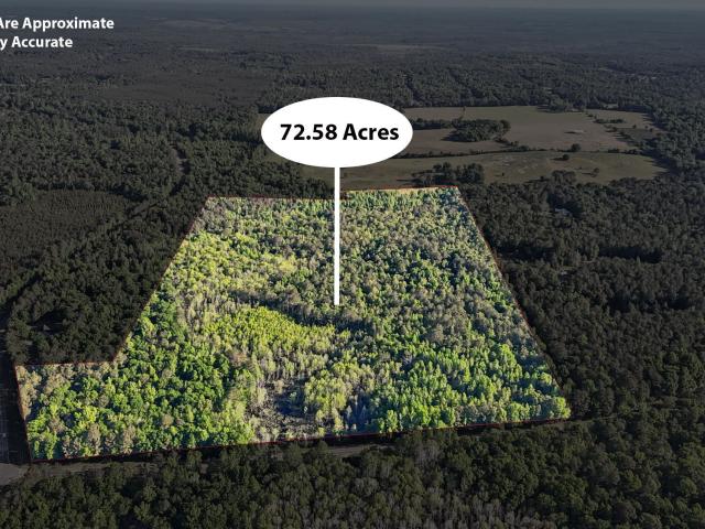 Land for sale in Fort Valley, Georgia