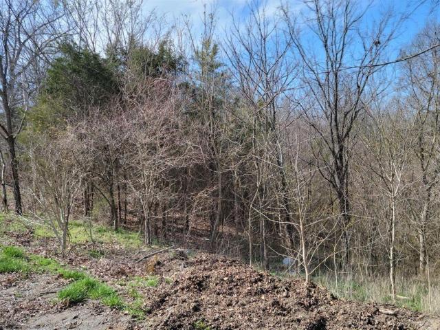 Land for sale in Frankfort, Kentucky