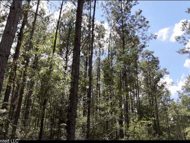 Land for sale in Harmony, Brookhaven