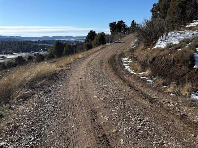 Land for sale in Chama, New Mexico